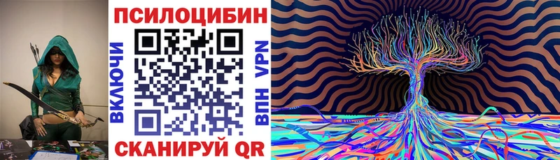 закладки  Бежецк  Псилоцибиновые грибы Psilocybe 